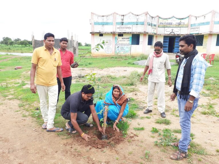 कवर्धा ब्लाक अंतर्गत ग्राम पंचायत जमुनिया के पंचायत भवन प्रांगण में वृक्षारोपण किया गया