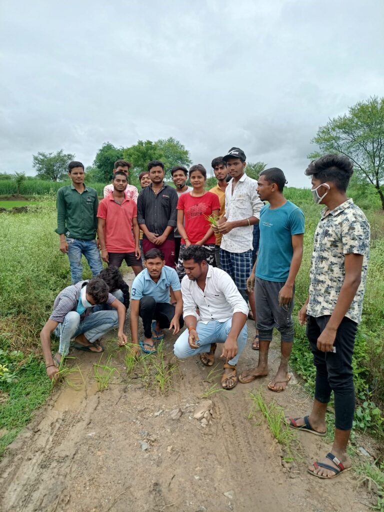 कॉलेज सड़क निर्माण कार्य को लेकर ABVP इकाई पांडातराई के द्वारा कालेज पहुँच रोड पर धान की रोपाई कर ABVP कार्यकर्ताओं ने किया अनोखा प्रदर्शन