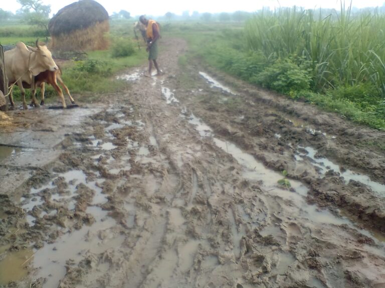 ग्राम पंचायत सगौनाडीह के आश्रीत ग्राम दलपुरवा में पक्की मार्ग न होने से ग्रामवासी है परेशान, पूरी मार्ग में है कीचड़