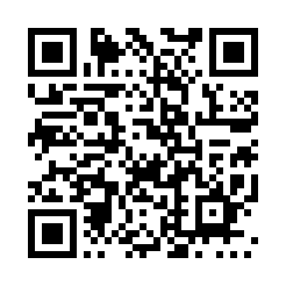 UPI QR Code